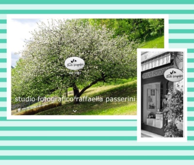 Immagine che raffigura Studio fotografico Passerini